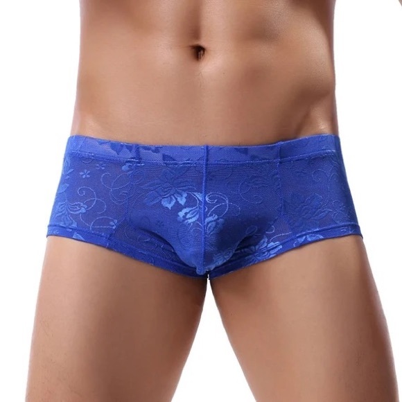 Men’s Mini Boxer Shorts Sexy Lace Sheer Underwear - Picture 2 of 8